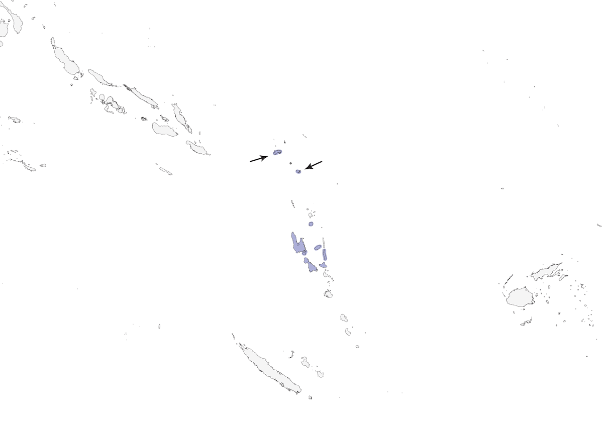 Estornino Alirrufo, Distribución 1