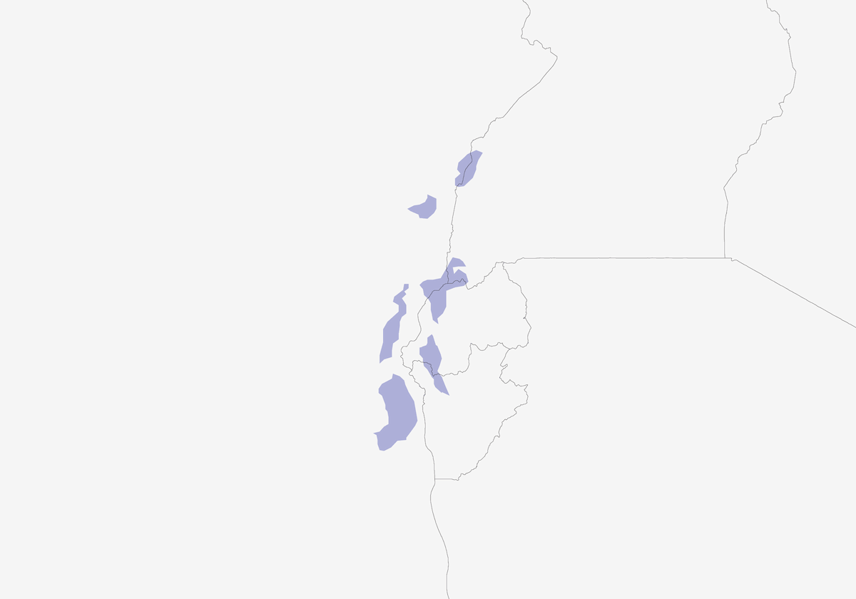 Ruwenzori-Turako, Verbreitung 1