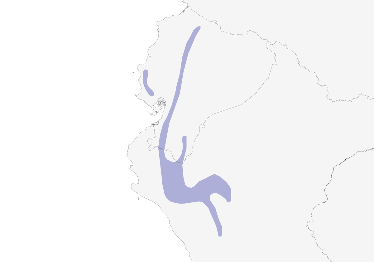 Tiranoide Alirrufo, Distribución 1