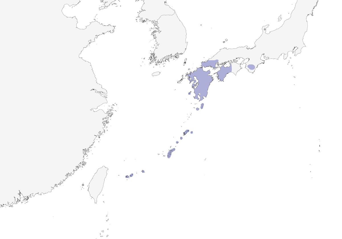 Ryukyu-Spitzenschwanz, Verbreitung 1