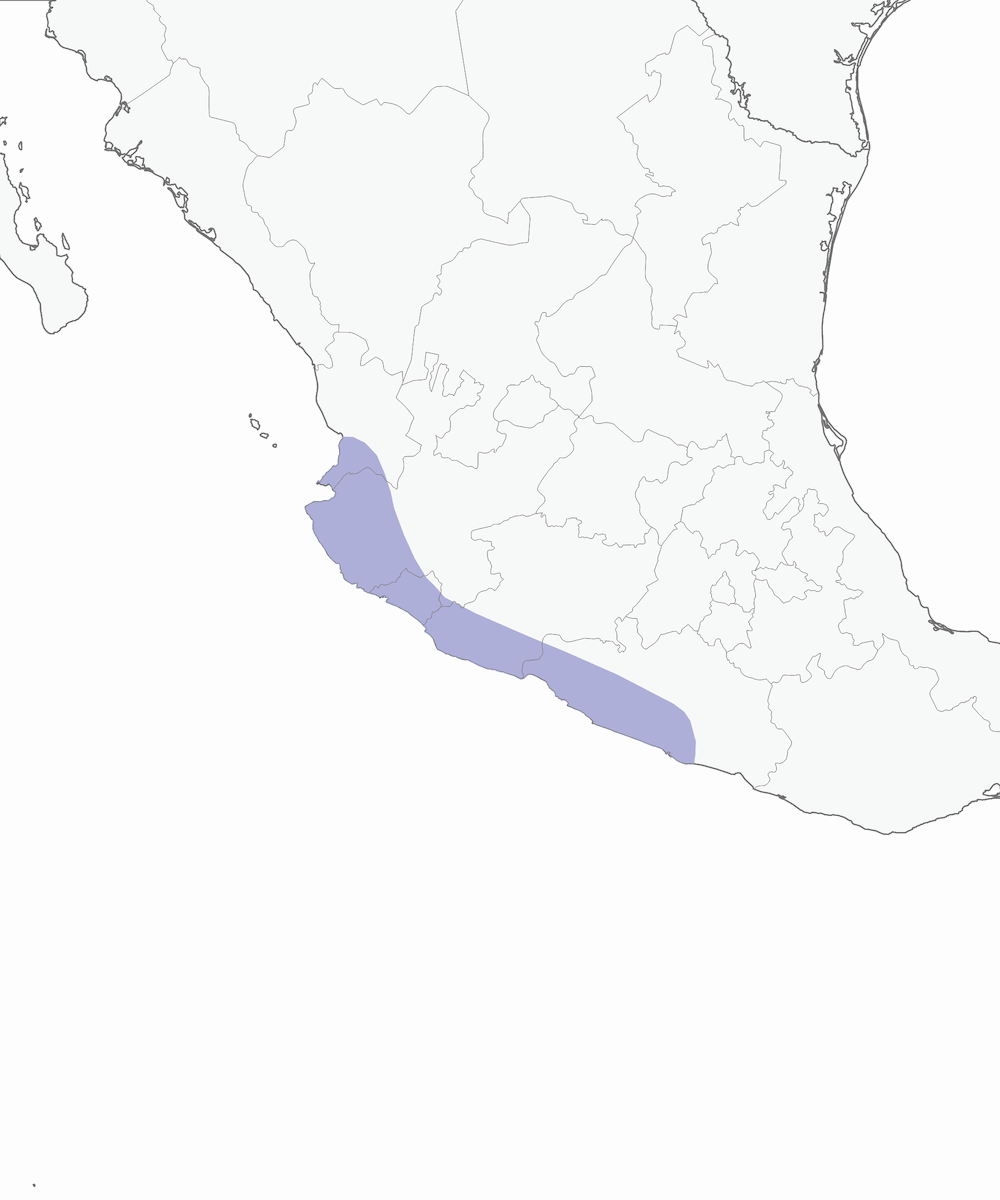 San Blas Jay, Distribution 1