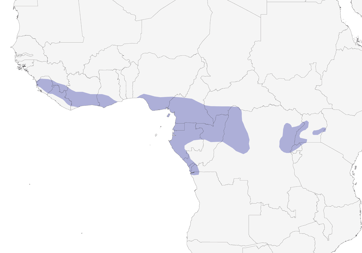 Codaspinosa di Sabine, Distribuzione 1