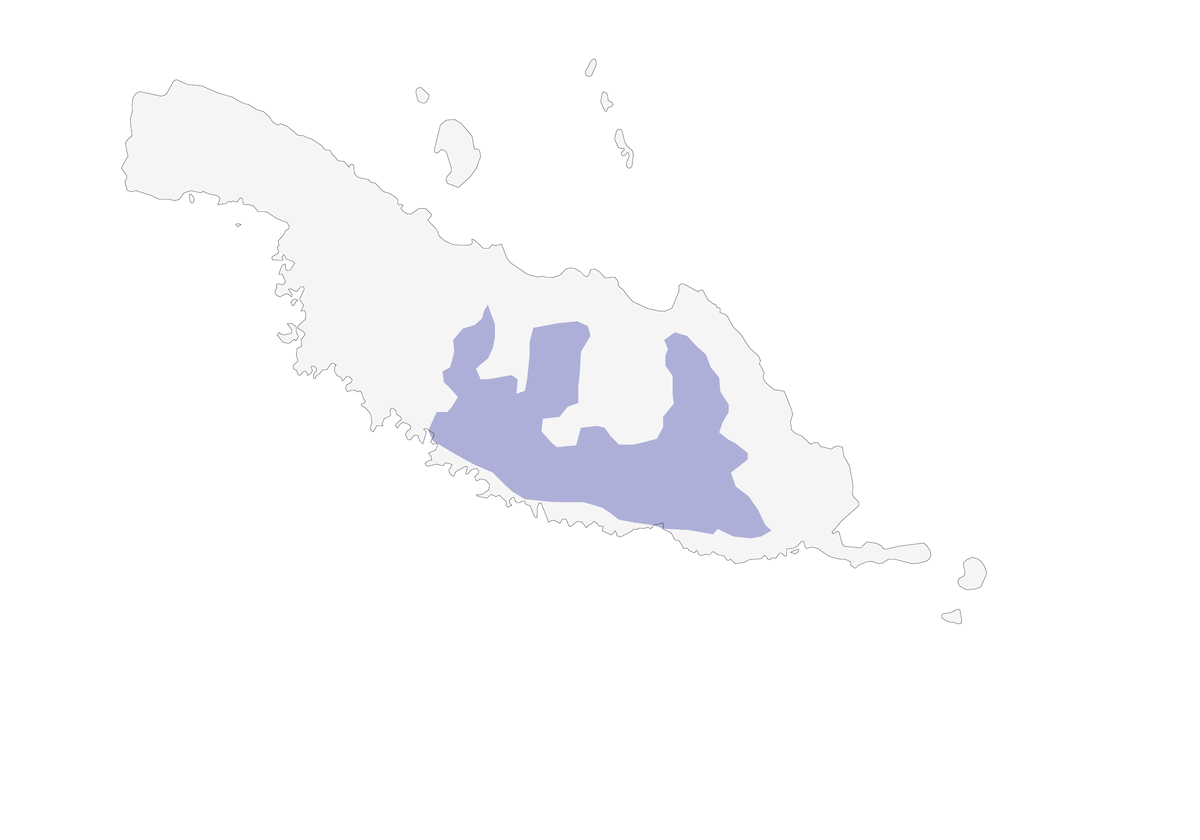Zorzal de Makira, Distribución 1