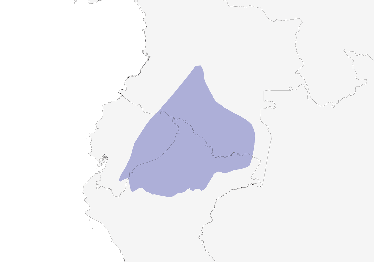 Hocco de Salvin, Distribution 1
