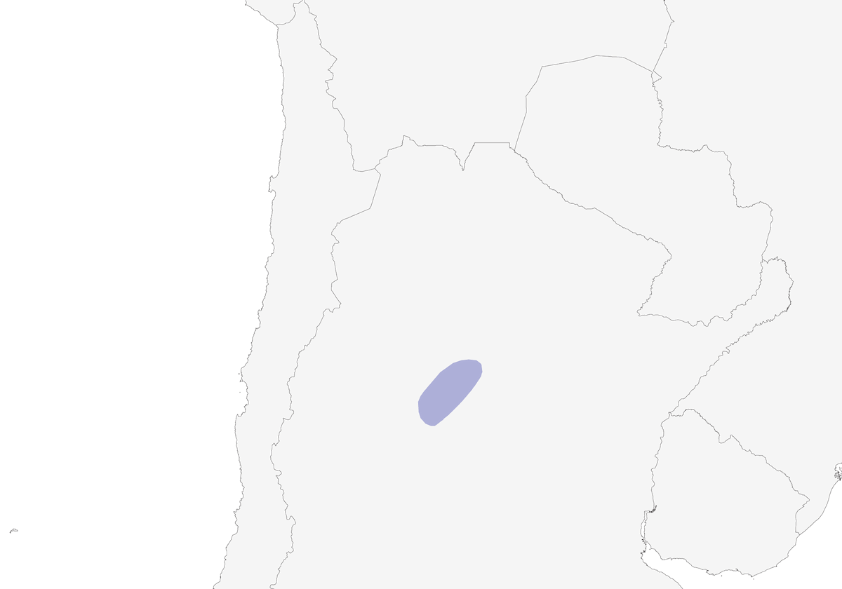 Monacella di Salinas, Distribuzione 1