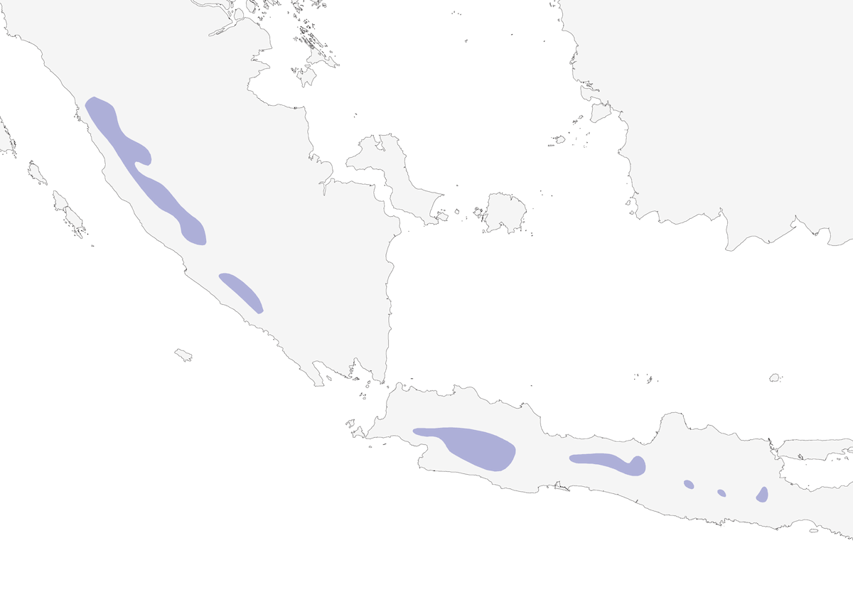 Salvadori's Nightjar, Distribution 1