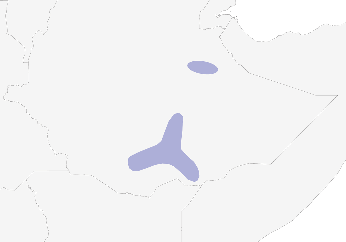 Serín de Salvadori, Distribución 1