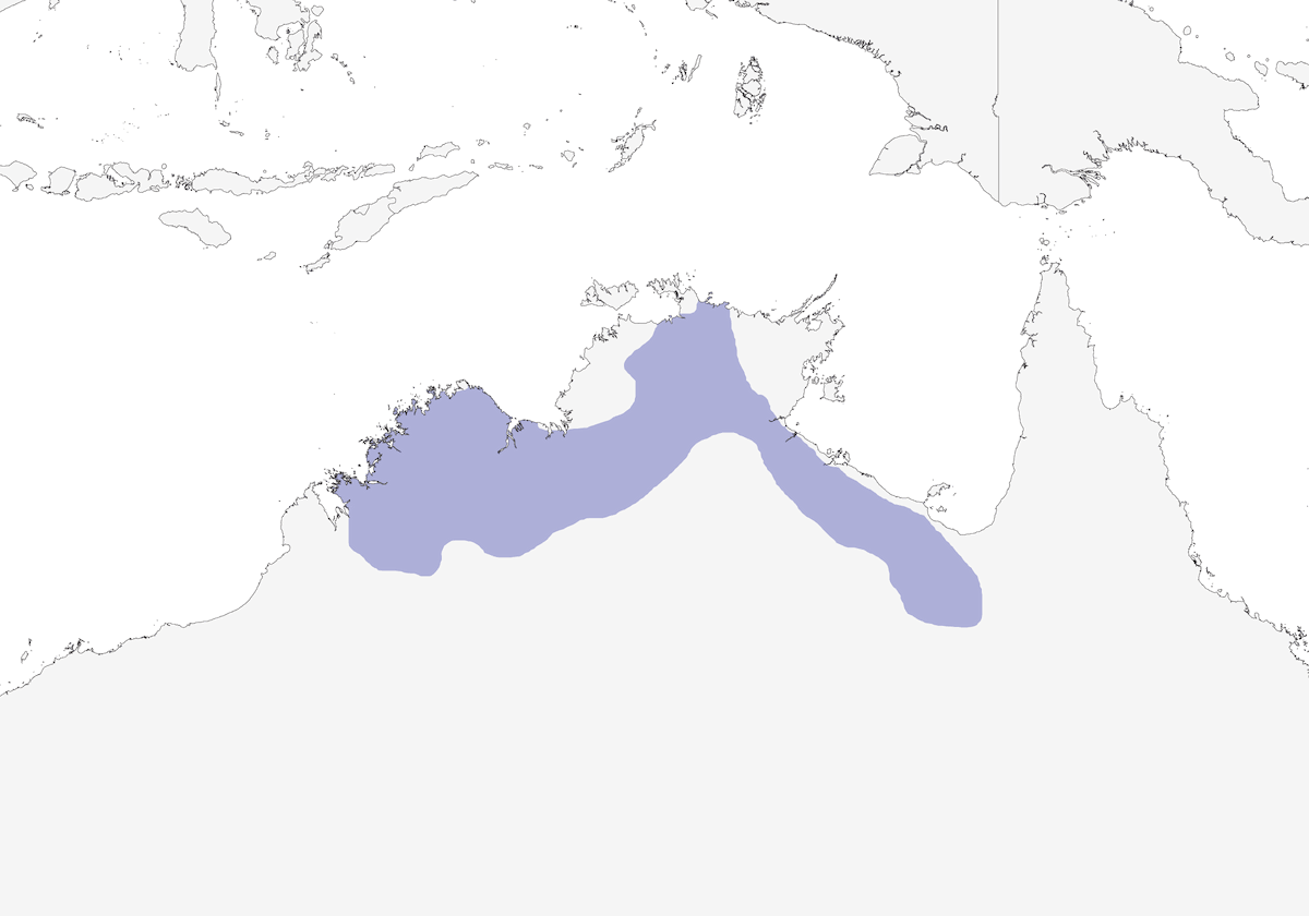 Colluricincla de Arenisca, Distribución 1