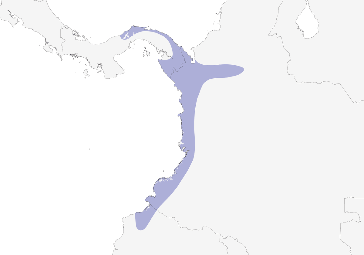 Sapayoa, Distribution 1