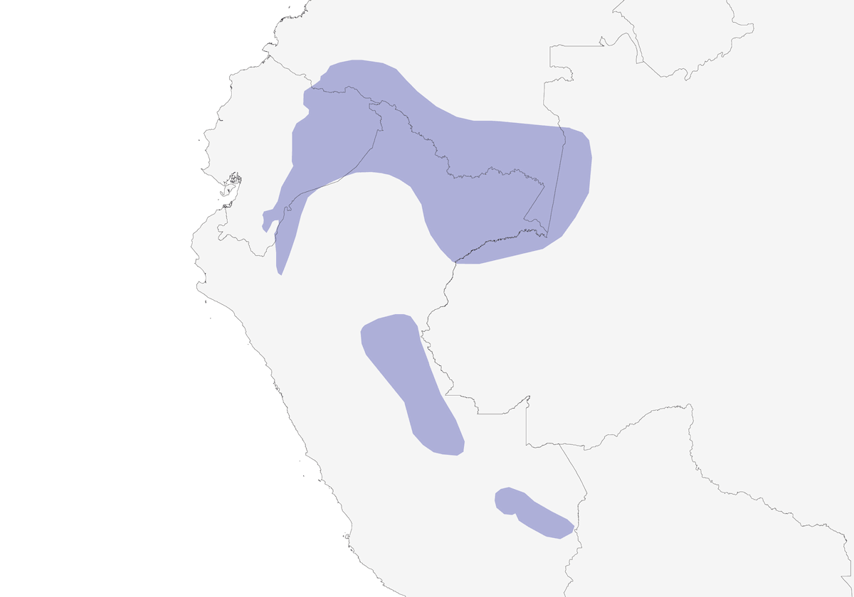 Paloma-perdiz zafiro, Distribución 1