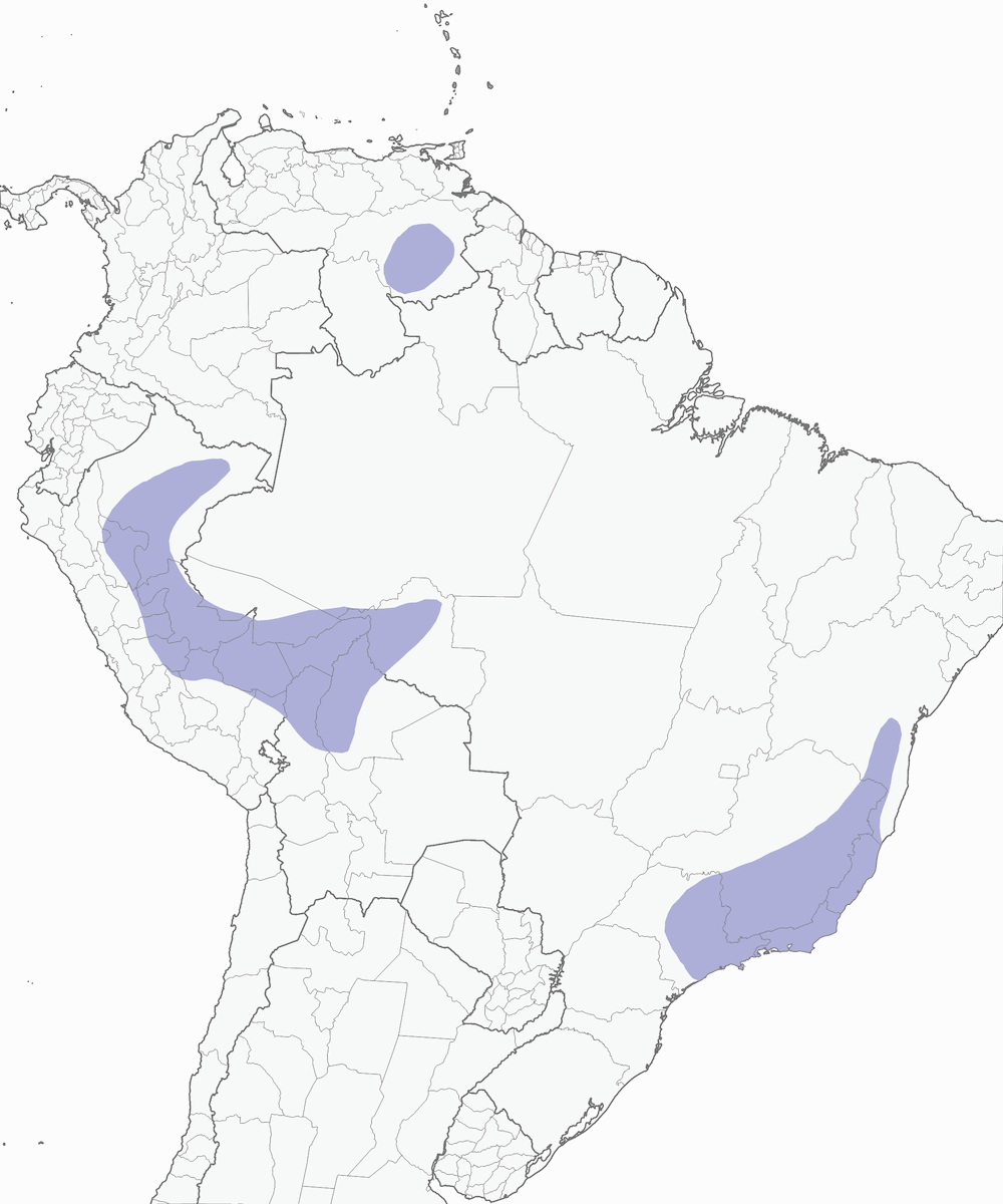 Sapphire-spangled Emerald, Distribution 1
