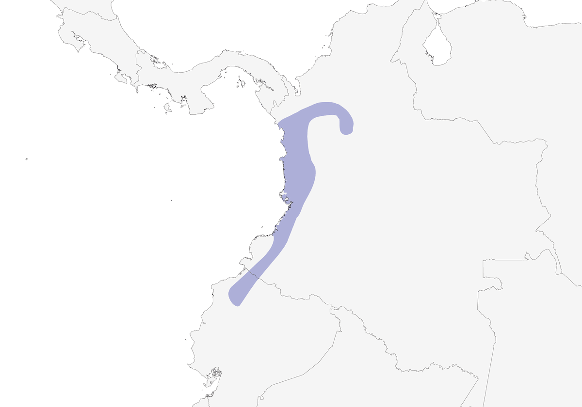 Scarlet-and-white Tanager, Distribution 1