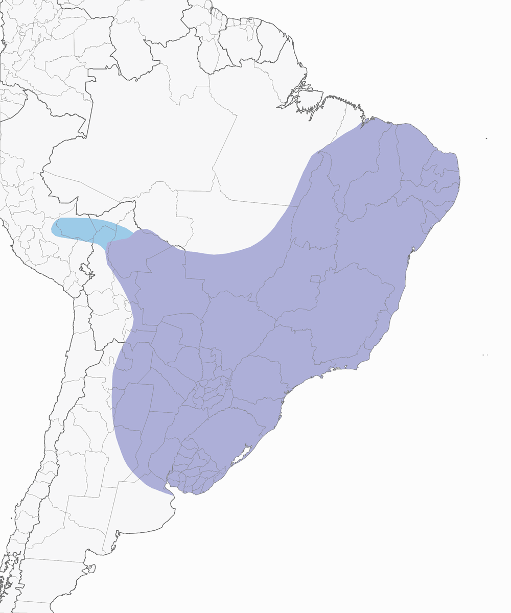 Tangara sayaca, Distribution 1
