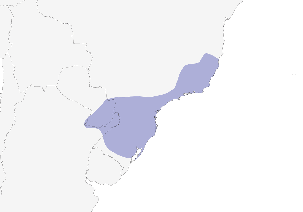 Rallo boschereccio pettoardesia, Distribuzione 1