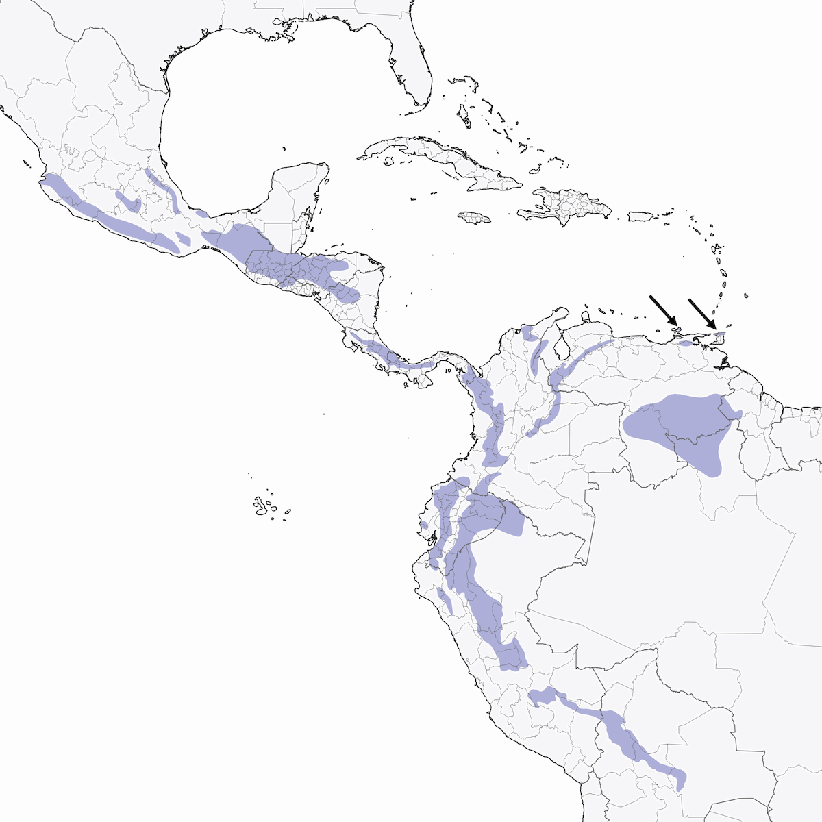 Grallaria Escamada, Distribución 1