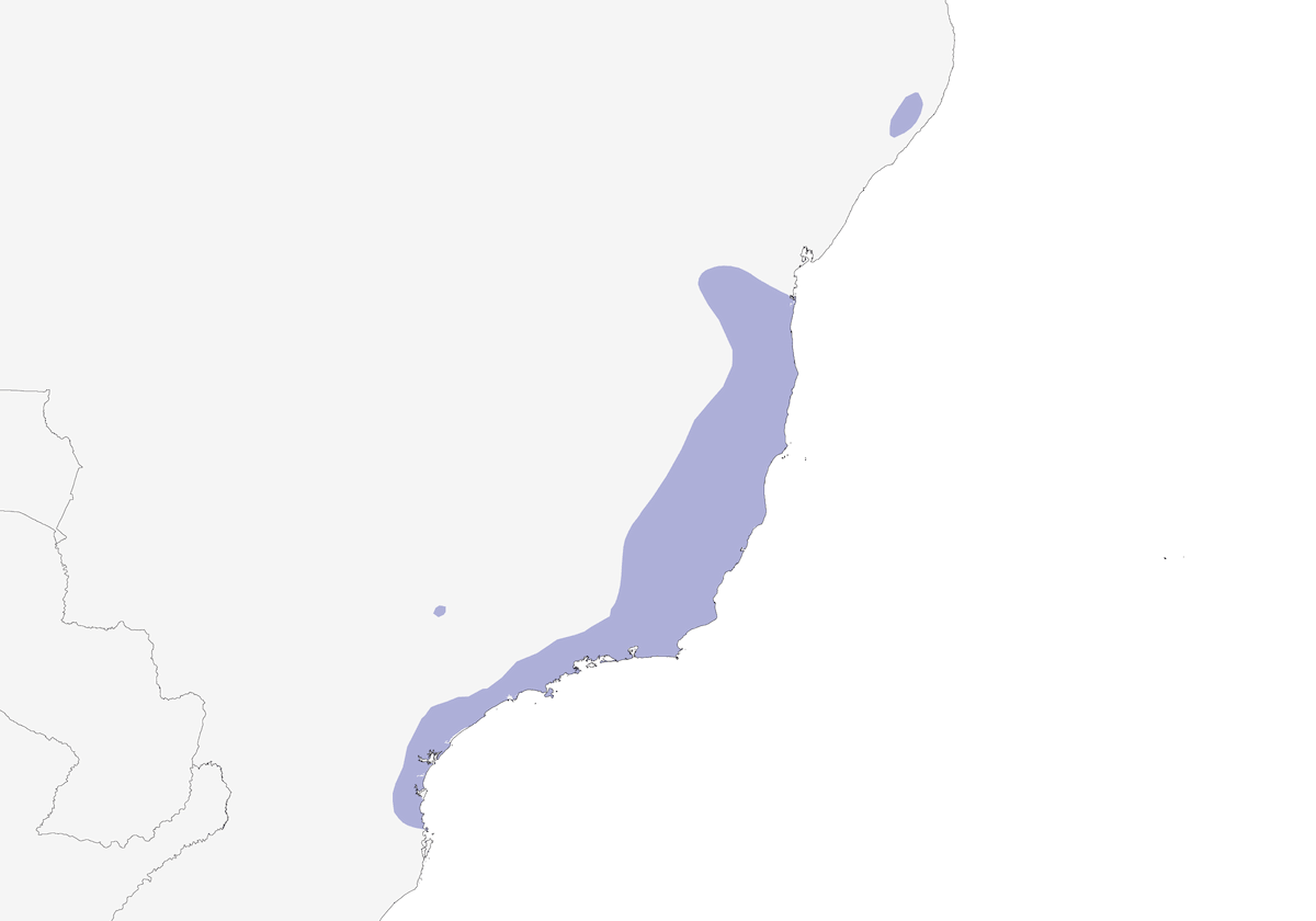 Fourmilier écaillé, Distribution 1