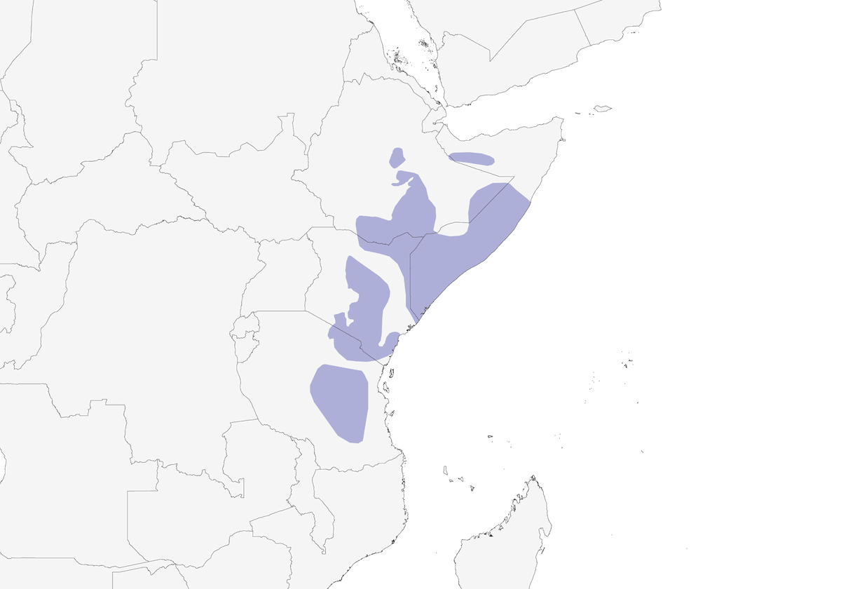 Garrulo squamoso, Distribuzione 1