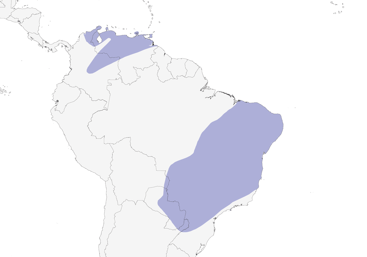 Columbina Escamosa, Distribución 1