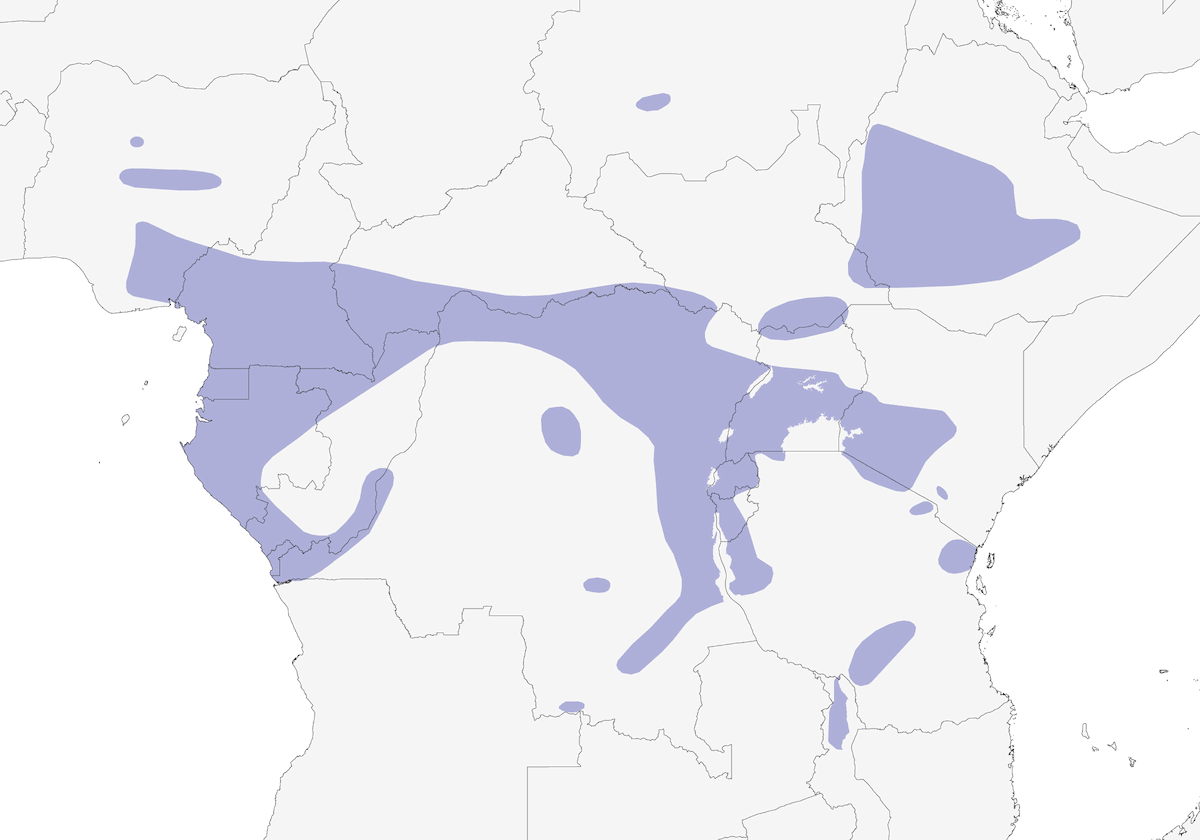 Scaly Spurfowl, Distribution 1
