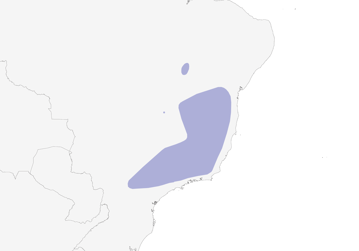 Rampicatore squamoso, Distribuzione 1