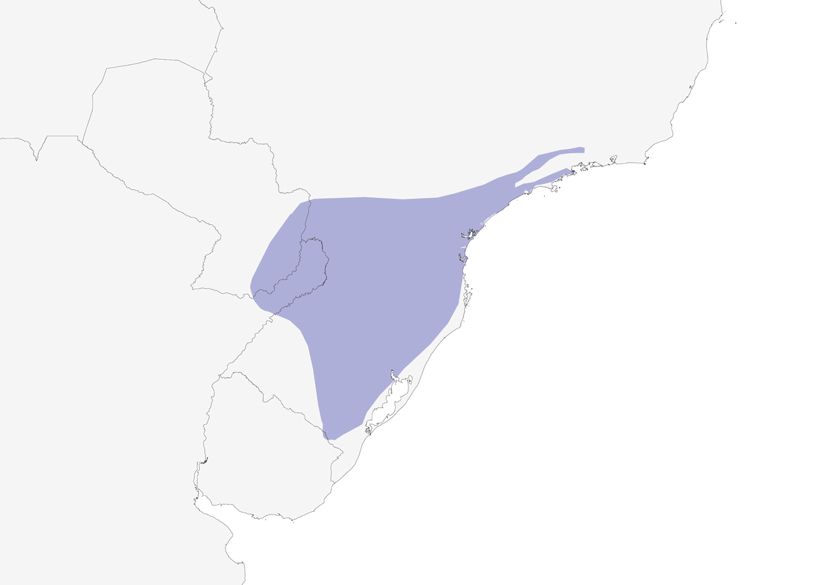 Scalloped Woodcreeper, Distribution 1