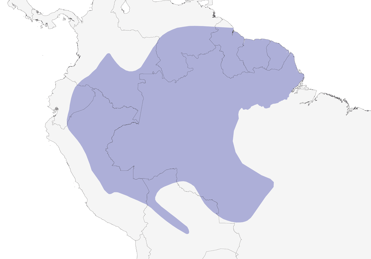 Formicario dal dorso squamoso comune, Distribuzione 1