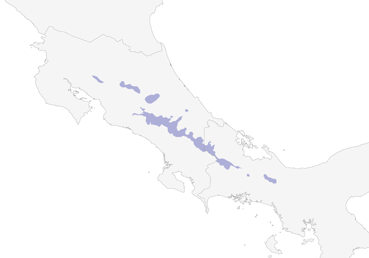 Clorospingo crestascura, Distribuzione 1