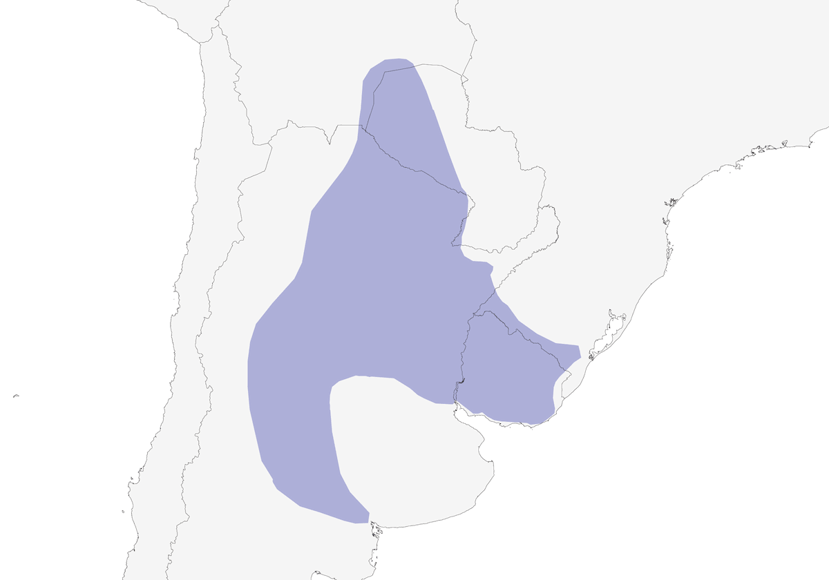 Rampichino beccosabila, Distribuzione 1