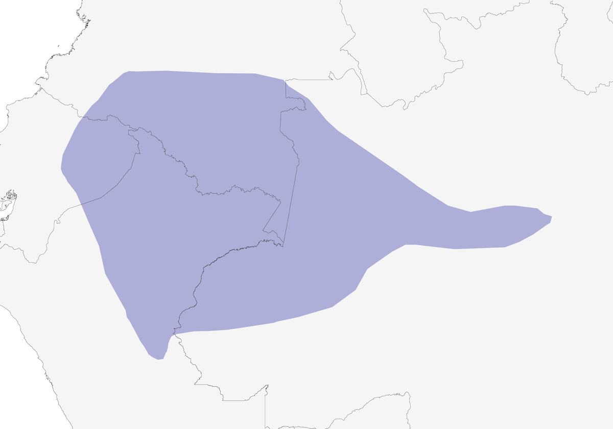 Barbetto dalla corona scarlatta, Distribuzione 1