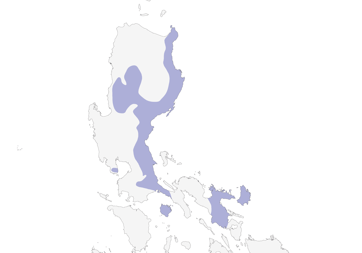 Malcoha piuma squamata, Distribuzione 1