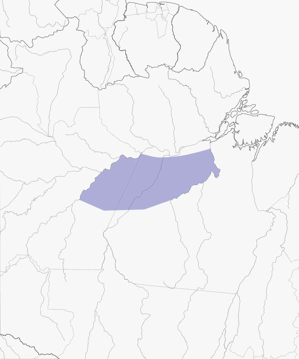 Cuculo di terra squamato, Distribuzione 1
