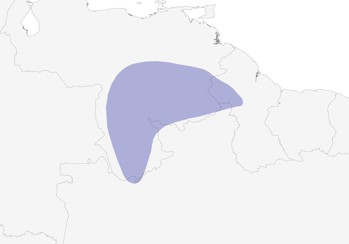 Scarlet-horned Manakin, Distribution 1