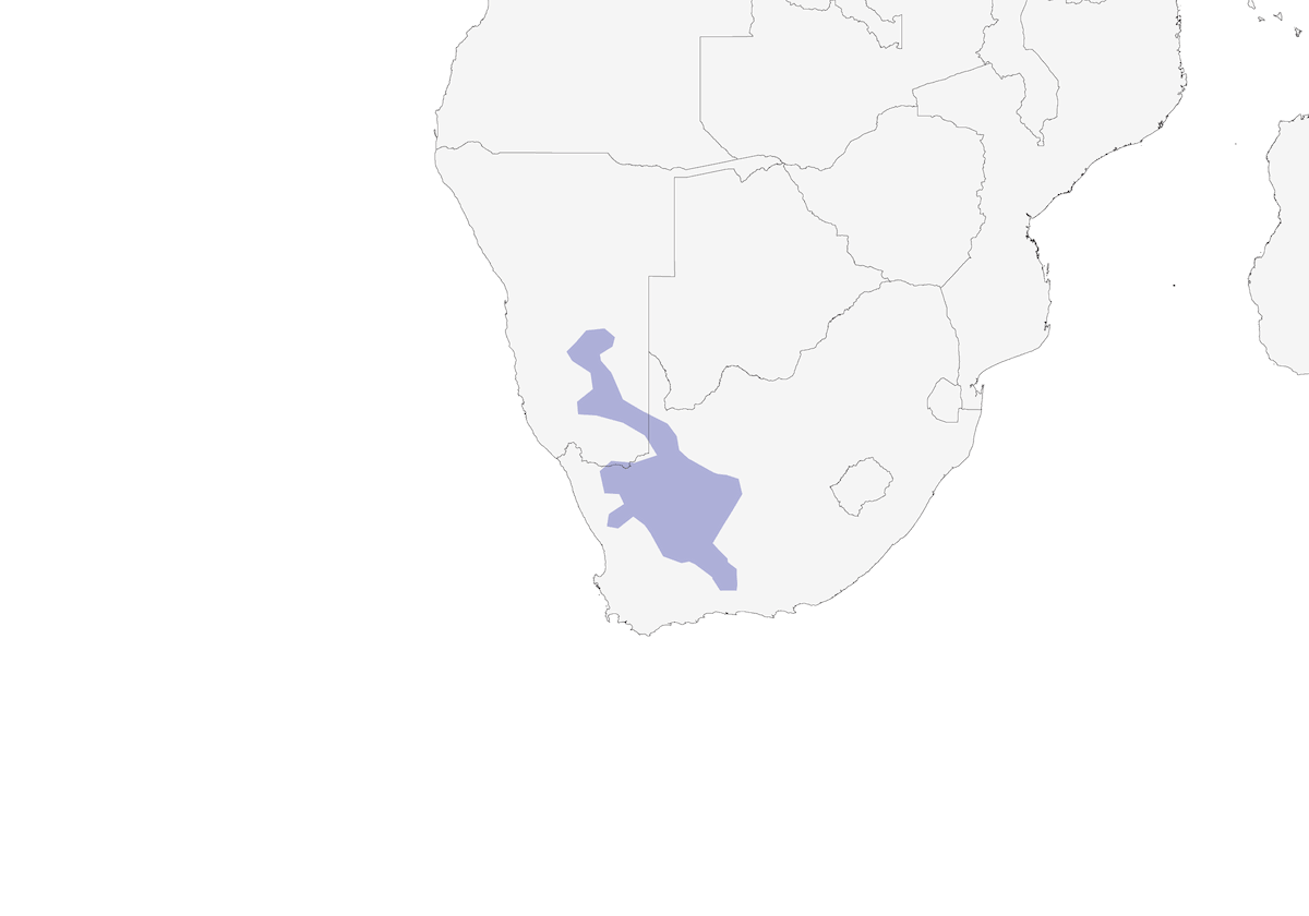 Sclater's Lark, Distribution 1