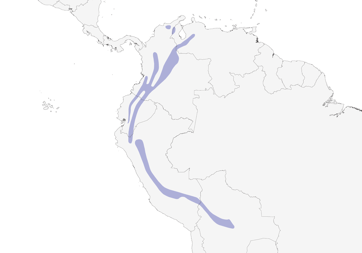 Amazona nuquiescamada, Distribución 1