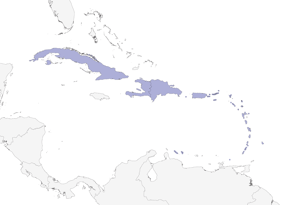 Scaly-naped Pigeon, Distribution 1