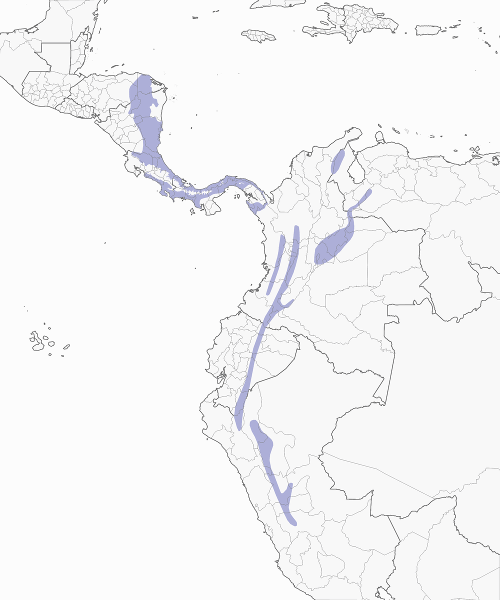 Scarlet-rumped Cacique, 分布 1
