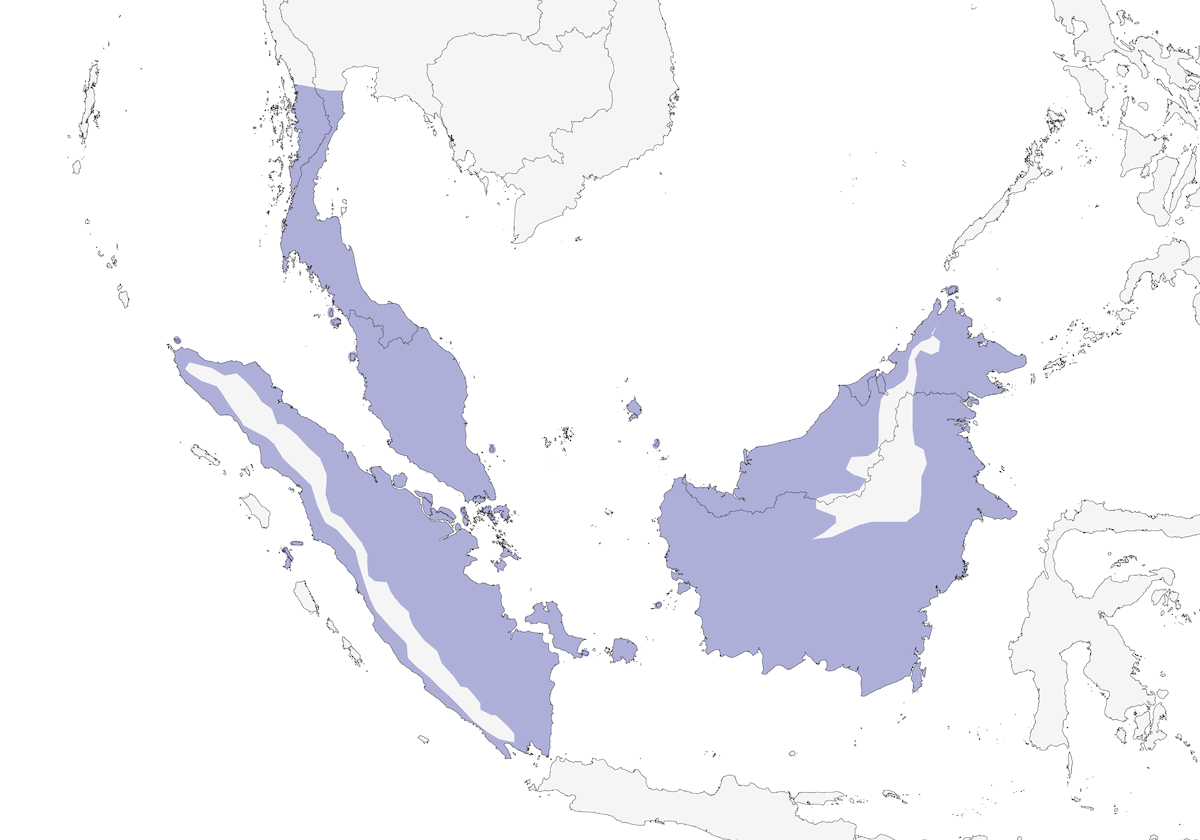 Trogón Rabadilla Escarlata, Distribución 1