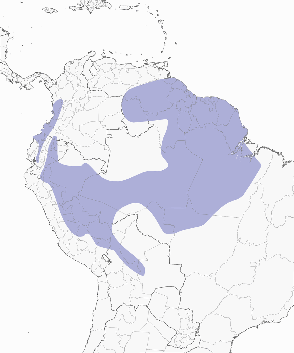Vireón capipizarro, Distribución 1