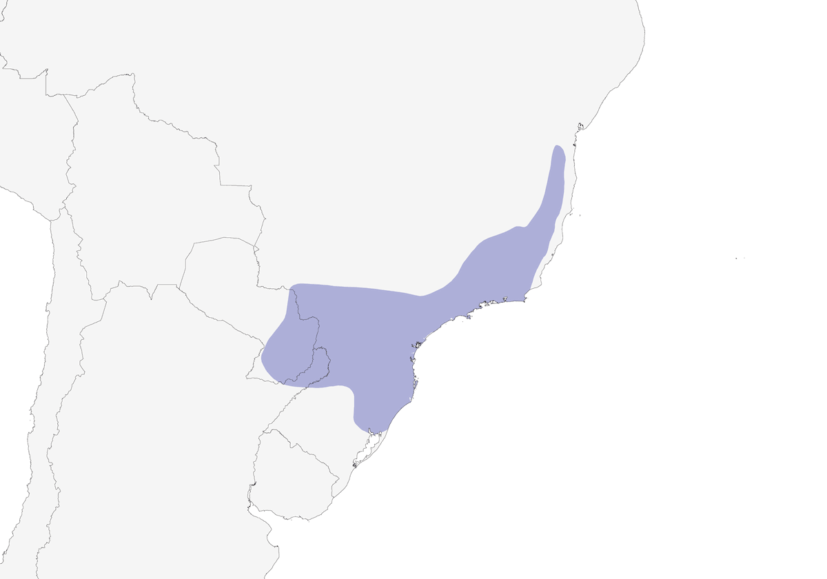 Ermite écaillé, Distribution 1