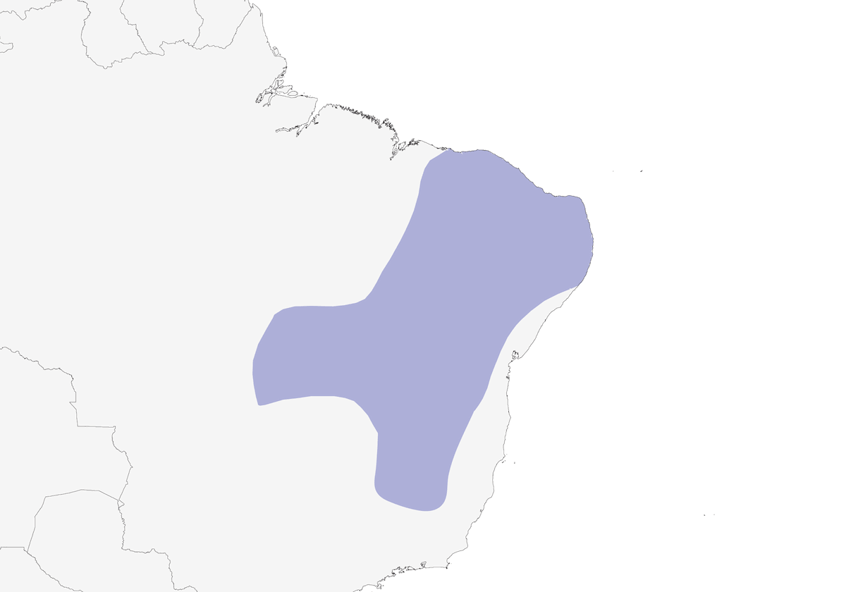Tangara loricata, Distribution 1
