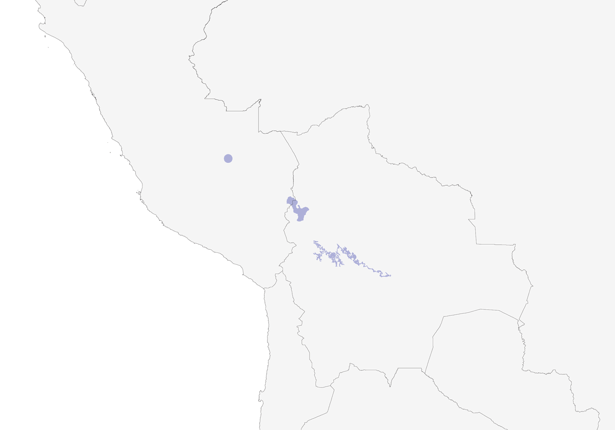 Piha alisciabola, Distribuzione 1