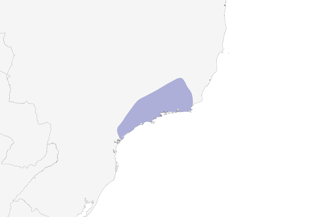 Serra-do-Mar-Manakin, Verbreitung 1