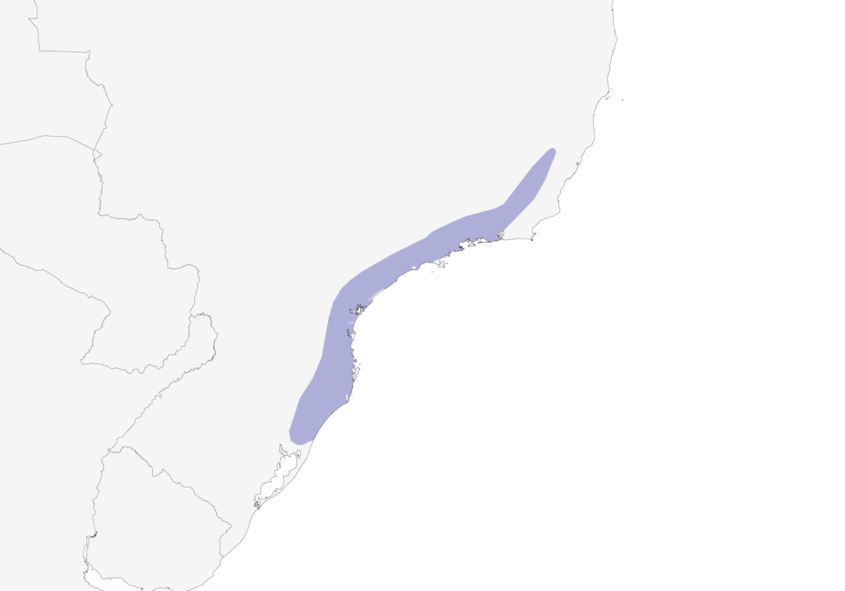 Serra do Mar Bristle-Tyrant, Distribution 1