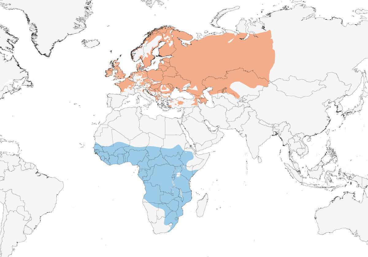 Sedge Warbler, Distribution 1
