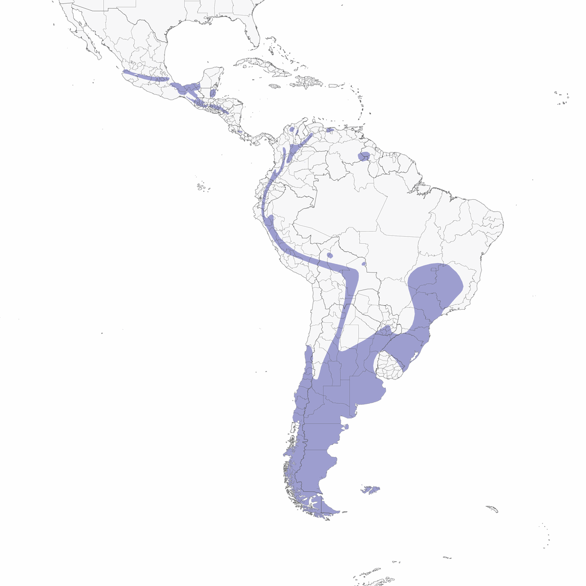 Grass Wren, Distribution 1