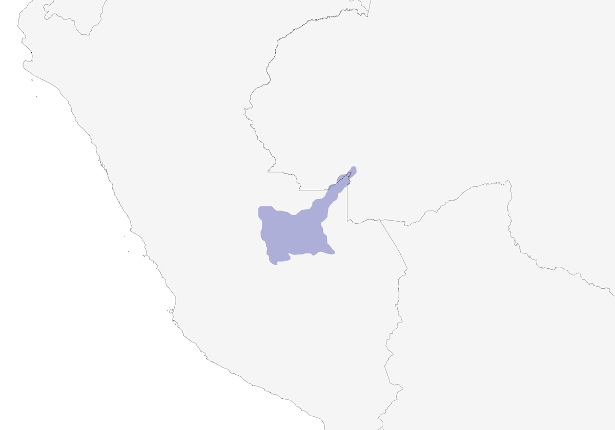 Cacico della Selva, Distribuzione 1