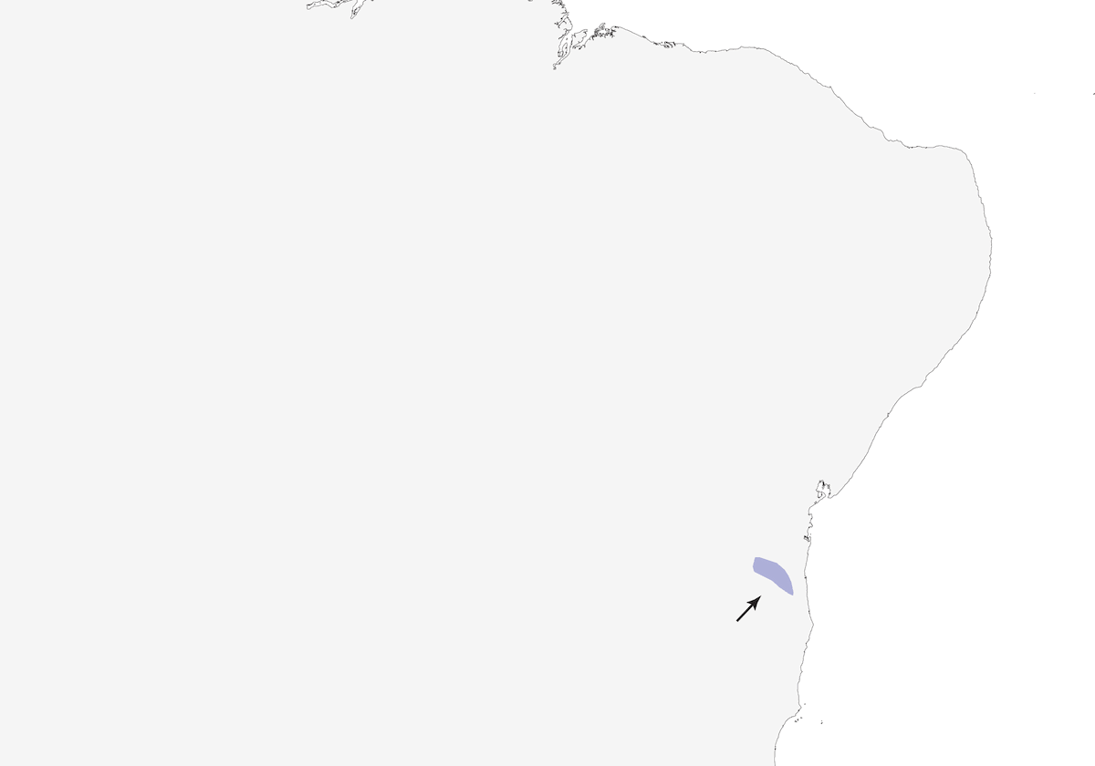 Tapaculo de Boa Nova, Distribution 1