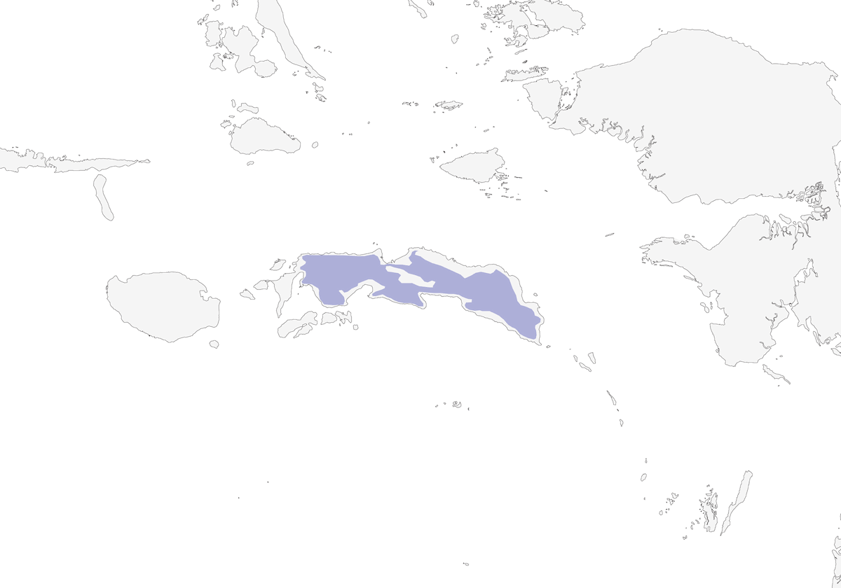 Seram White-eye, Distribution 1