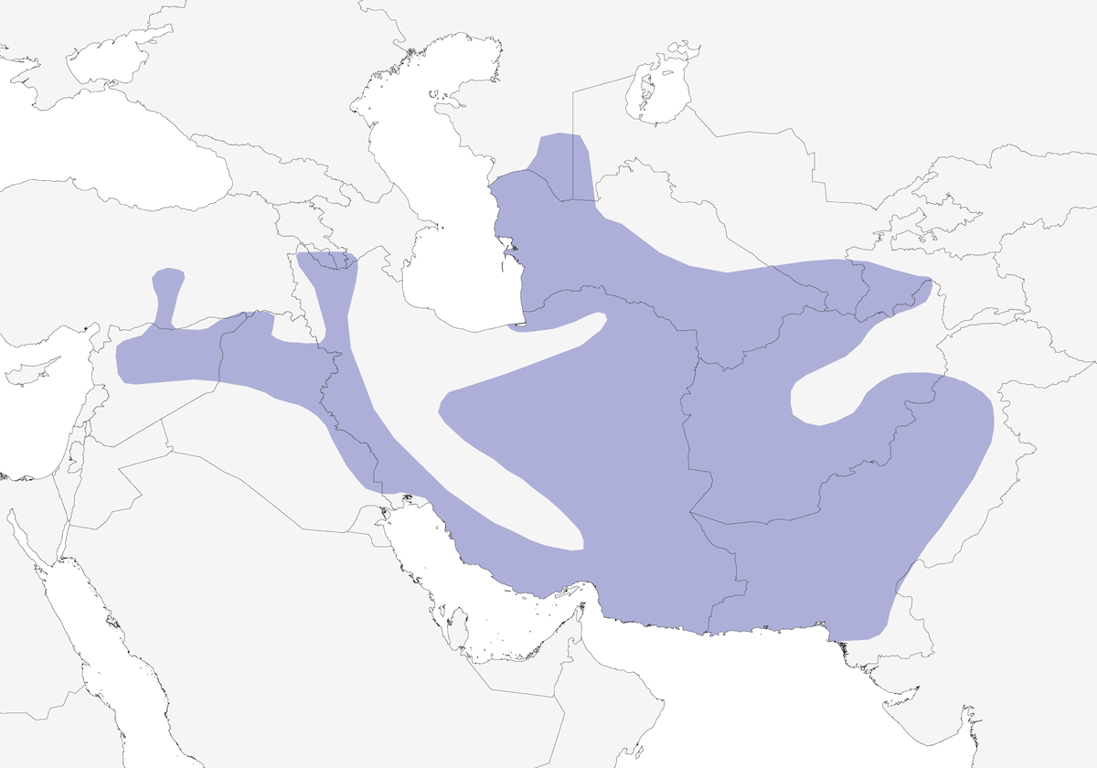 See-see Partridge, Distribution 1