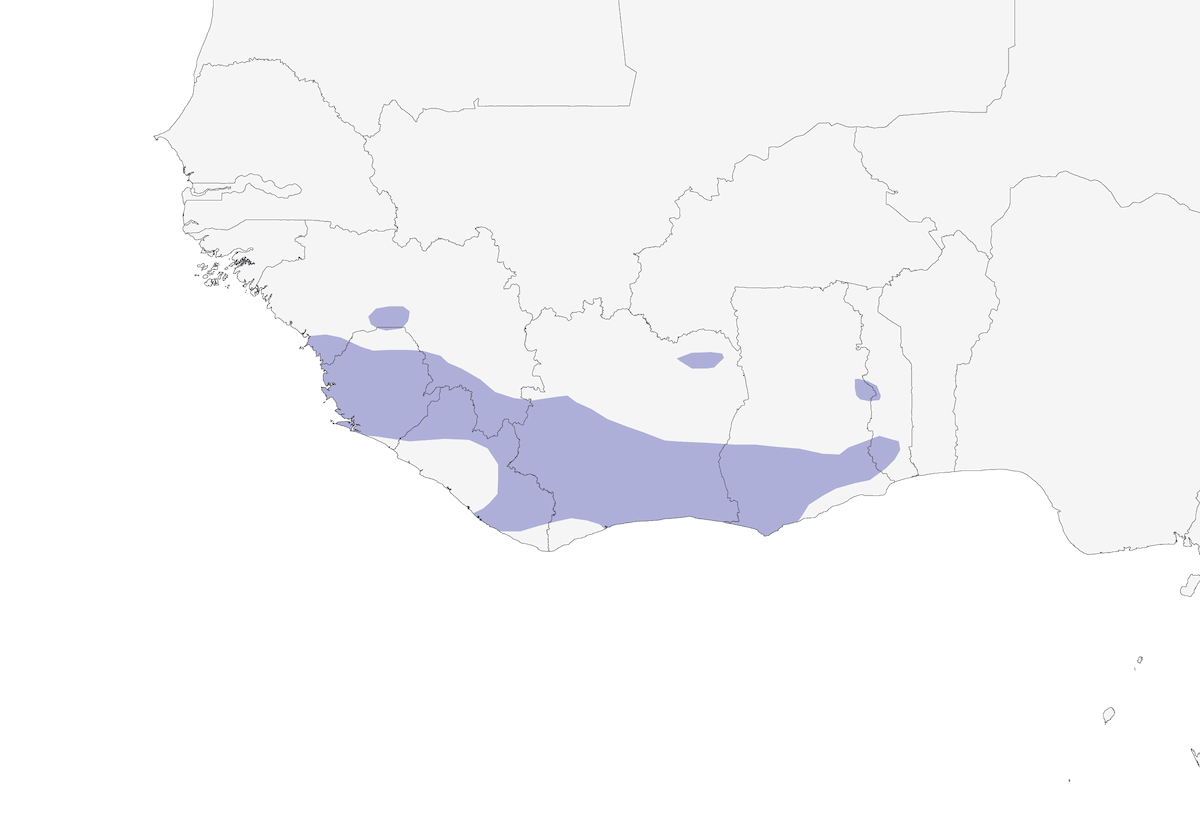 Apali de Sharpe, Distribución 1